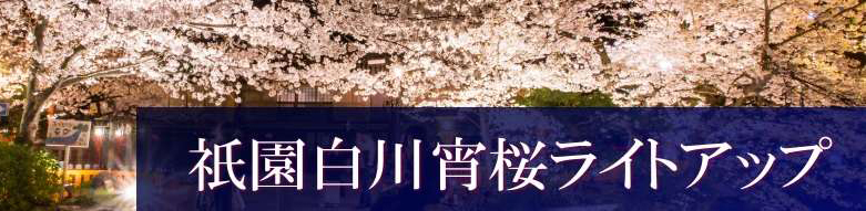 祇園白川宵櫻點燈